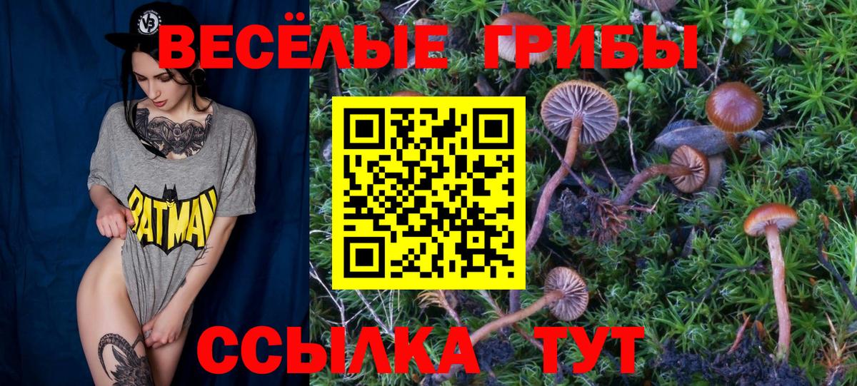 Галлюциногенные грибы ЛСД  Галлюциногенные грибы мухоморы  Ленинск-Кузнецкий  продажа наркотиков  Вход с VPN 